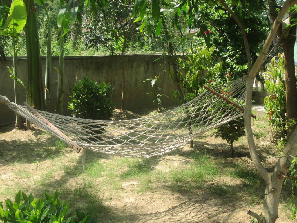 Eco Adventure Resort Sauraha Exterior photo