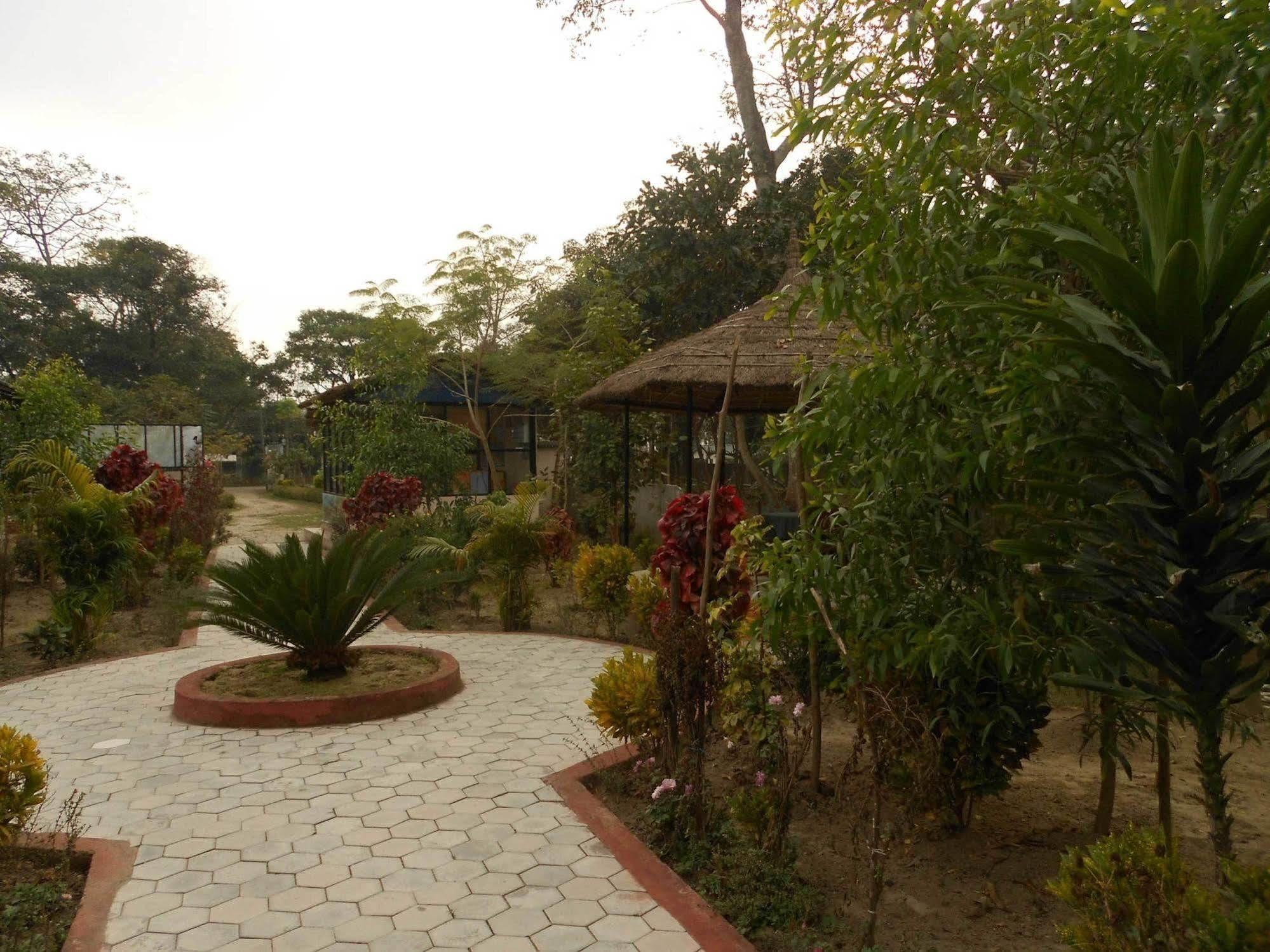 Eco Adventure Resort Sauraha Exterior photo